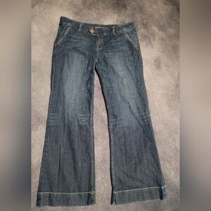 American Eagle Vintage Flared Denim Blue Jeans Women's Size 14 L